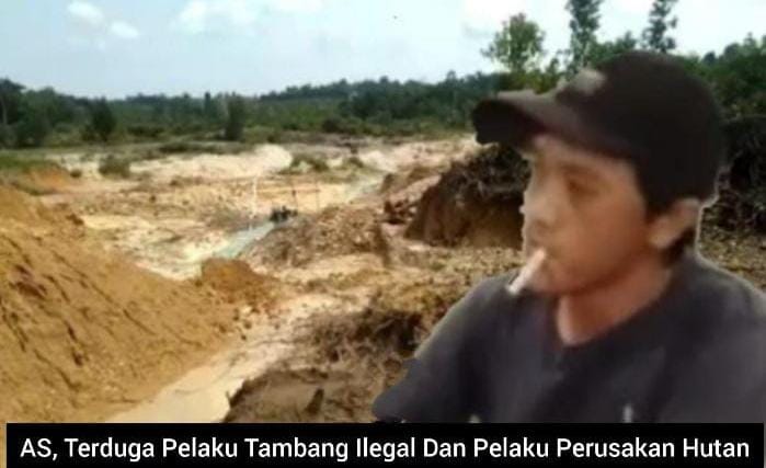 Kepada YTH : Bapak Kapolres Bangka Barat Tangkap AS Terduga Pelaku Tambang Ilegal Dan Perusak Hutan kawasan