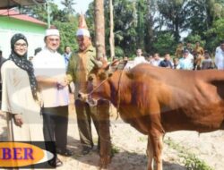 Ibu Melati Erzaldi Serahkan 3 Hewan Kurban